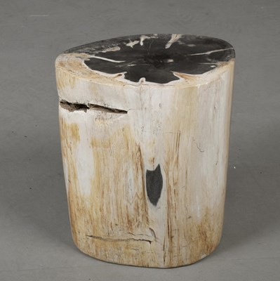 Lot 779 - PETRIFIED WOOD STOOL