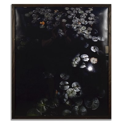 Lot 134 - WATER LILIES